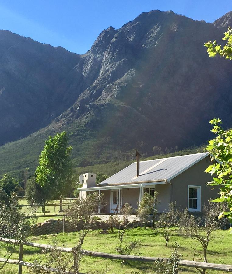 Olive Cottage Франсхук Экстерьер фото